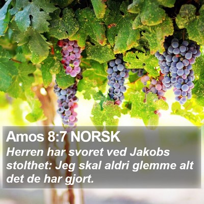 Amos 8:7 NORSK Bible Verse Image