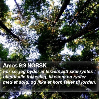 Amos 9:9 NORSK Bible Verse Image
