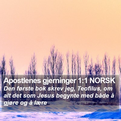 Apostlenes gjerninger 1:1 NORSK Bible Verse Image
