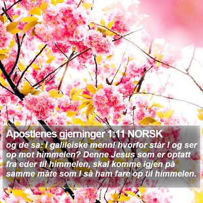Apostlenes gjerninger 1:11 NORSK Bible Verse Image