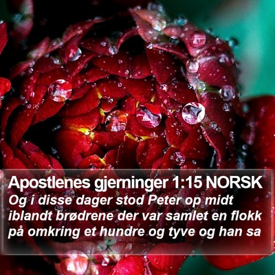 Apostlenes gjerninger 1:15 NORSK Bible Verse Image