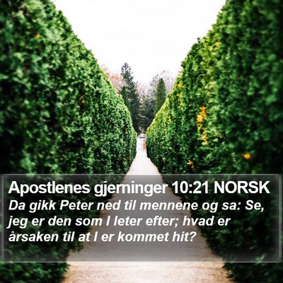 Apostlenes gjerninger 10:21 NORSK Bible Verse Image