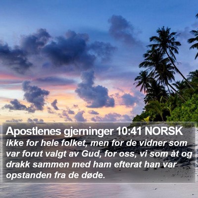 Apostlenes gjerninger 10:41 NORSK Bible Verse Image