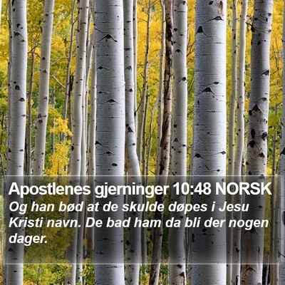 Apostlenes gjerninger 10:48 NORSK Bible Verse Image