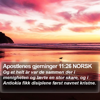 Apostlenes gjerninger 11:26 NORSK Bible Verse Image