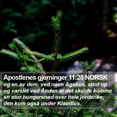 Apostlenes gjerninger 11:28 NORSK Bible Verse Image
