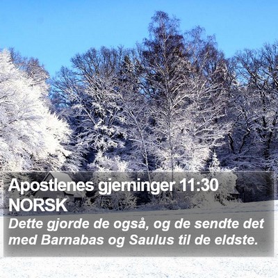 Apostlenes gjerninger 11:30 NORSK Bible Verse Image