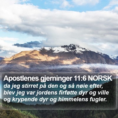 Apostlenes gjerninger 11:6 NORSK Bible Verse Image
