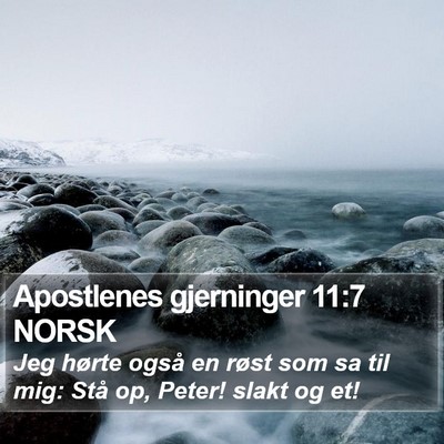 Apostlenes gjerninger 11:7 NORSK Bible Verse Image