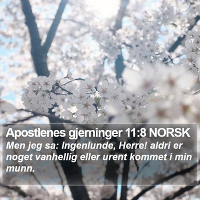 Apostlenes gjerninger 11:8 NORSK Bible Verse Image