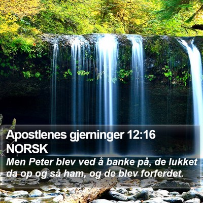 Apostlenes gjerninger 12:16 NORSK Bible Verse Image