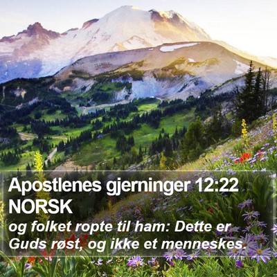 Apostlenes gjerninger 12:22 NORSK Bible Verse Image