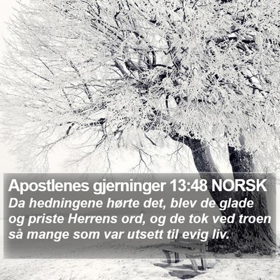 Apostlenes gjerninger 13:48 NORSK Bible Verse Image