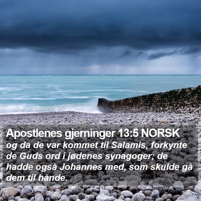 Apostlenes gjerninger 13:5 NORSK Bible Verse Image