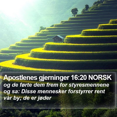 Apostlenes gjerninger 16:20 NORSK Bible Verse Image