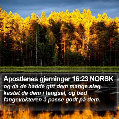 Apostlenes gjerninger 16:23 NORSK Bible Verse Image