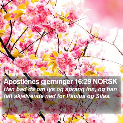 Apostlenes gjerninger 16:29 NORSK Bible Verse Image