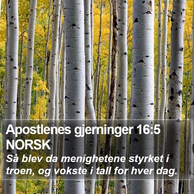 Apostlenes gjerninger 16:5 NORSK Bible Verse Image