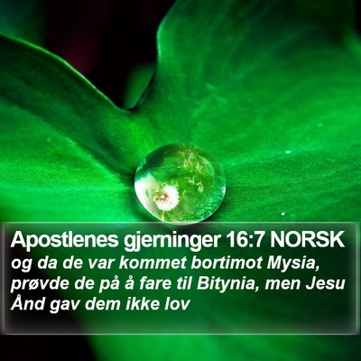 Apostlenes gjerninger 16:7 NORSK Bible Verse Image