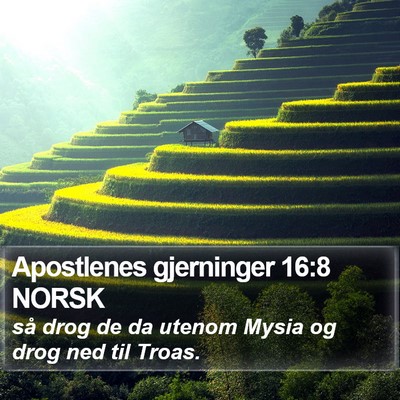 Apostlenes gjerninger 16:8 NORSK Bible Verse Image