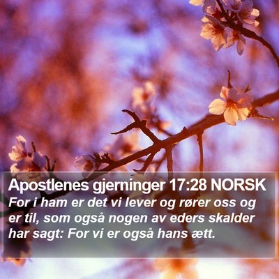 Apostlenes gjerninger 17:28 NORSK Bible Verse Image