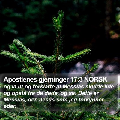Apostlenes gjerninger 17:3 NORSK Bible Verse Image