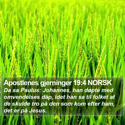 Apostlenes gjerninger 19:4 NORSK Bible Verse Image