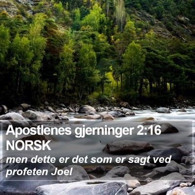 Apostlenes gjerninger 2:16 NORSK Bible Verse Image