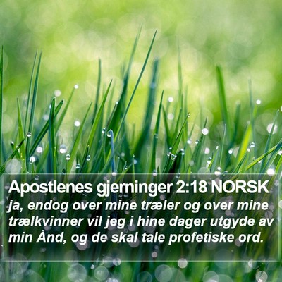 Apostlenes gjerninger 2:18 NORSK Bible Verse Image