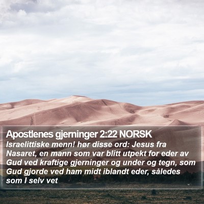 Apostlenes gjerninger 2:22 NORSK Bible Verse Image