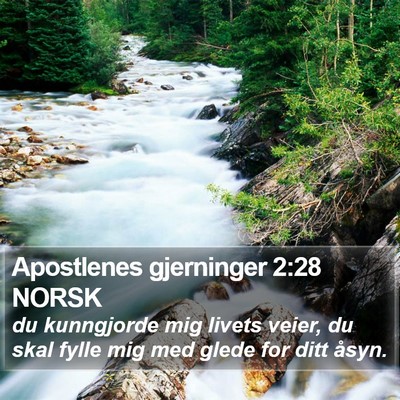 Apostlenes gjerninger 2:28 NORSK Bible Verse Image