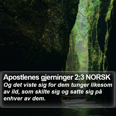 Apostlenes gjerninger 2:3 NORSK Bible Verse Image