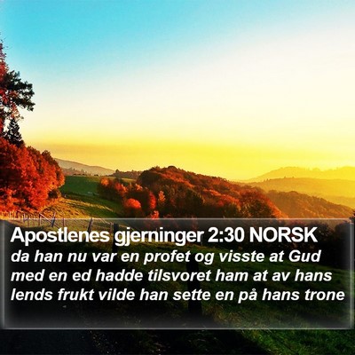Apostlenes gjerninger 2:30 NORSK Bible Verse Image