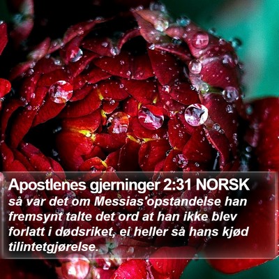 Apostlenes gjerninger 2:31 NORSK Bible Verse Image