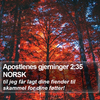 Apostlenes gjerninger 2:35 NORSK Bible Verse Image