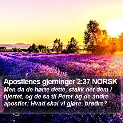 Apostlenes gjerninger 2:37 NORSK Bible Verse Image