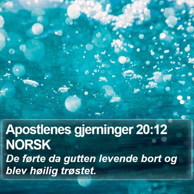 Apostlenes gjerninger 20:12 NORSK Bible Verse Image