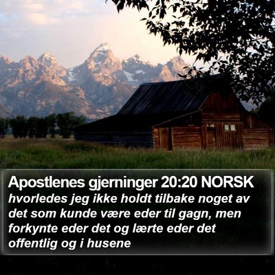 Apostlenes gjerninger 20:20 NORSK Bible Verse Image