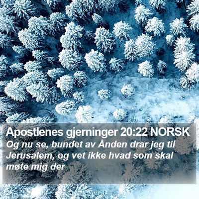 Apostlenes gjerninger 20:22 NORSK Bible Verse Image