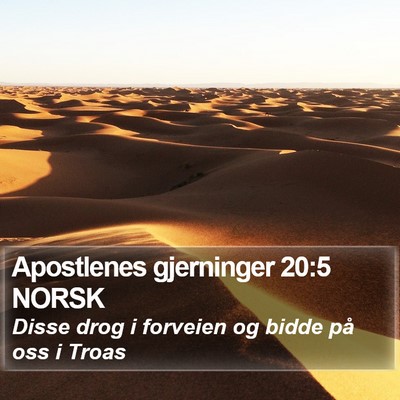 Apostlenes gjerninger 20:5 NORSK Bible Verse Image