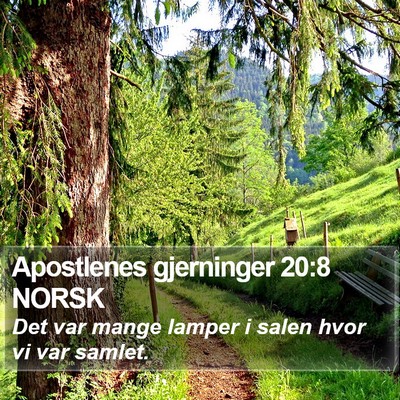 Apostlenes gjerninger 20:8 NORSK Bible Verse Image