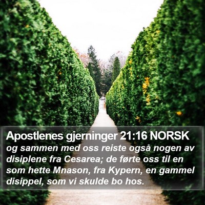 Apostlenes gjerninger 21:16 NORSK Bible Verse Image