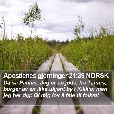 Apostlenes gjerninger 21:39 NORSK Bible Verse Image