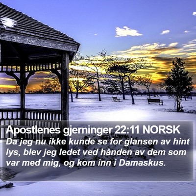 Apostlenes gjerninger 22:11 NORSK Bible Verse Image