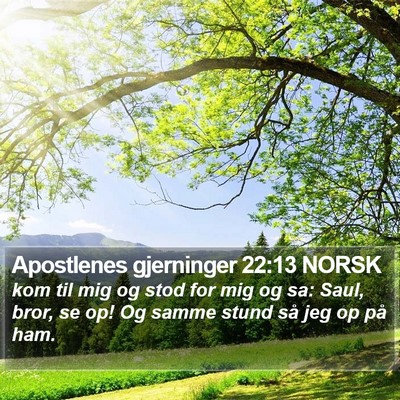 Apostlenes gjerninger 22:13 NORSK Bible Verse Image