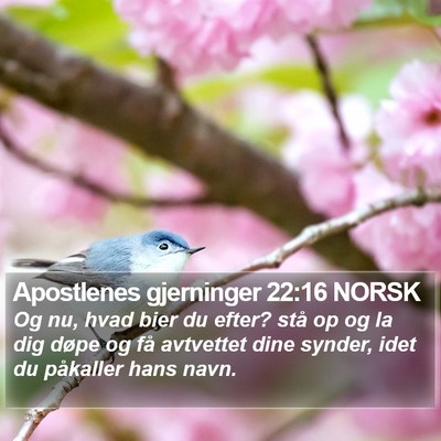 Apostlenes gjerninger 22:16 NORSK Bible Verse Image