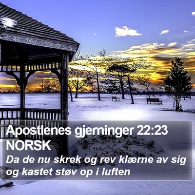 Apostlenes gjerninger 22:23 NORSK Bible Verse Image