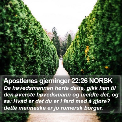 Apostlenes gjerninger 22:26 NORSK Bible Verse Image