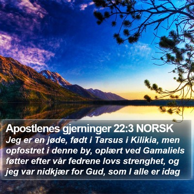 Apostlenes gjerninger 22:3 NORSK Bible Verse Image