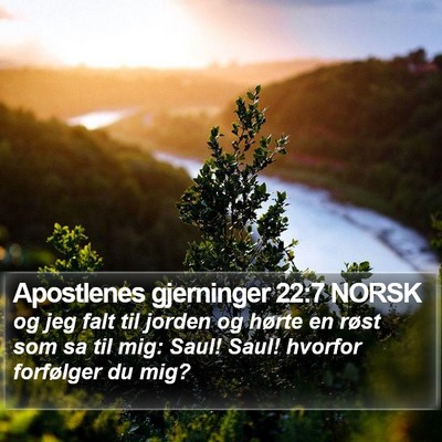 Apostlenes gjerninger 22:7 NORSK Bible Verse Image